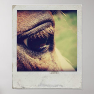 Horse Eye Poster