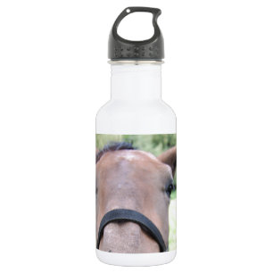Horse face 532 ml water bottle