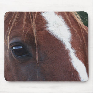 Horse Face Closeup Mouse Pad