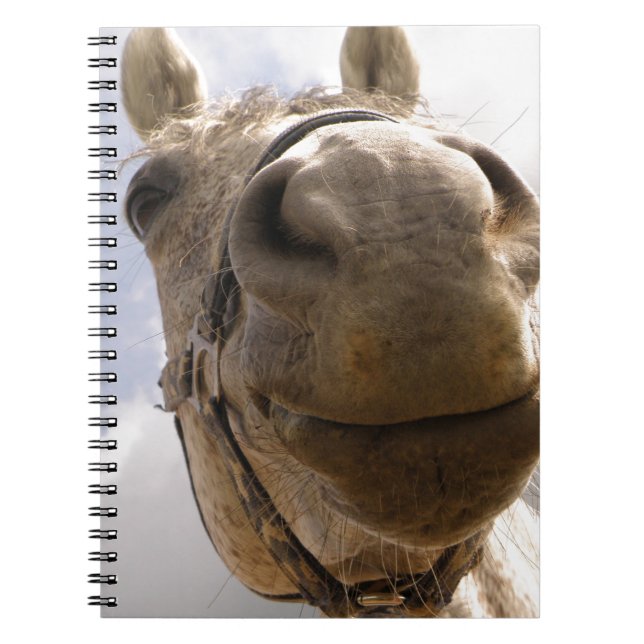 Horse face spiral notebook (Front)