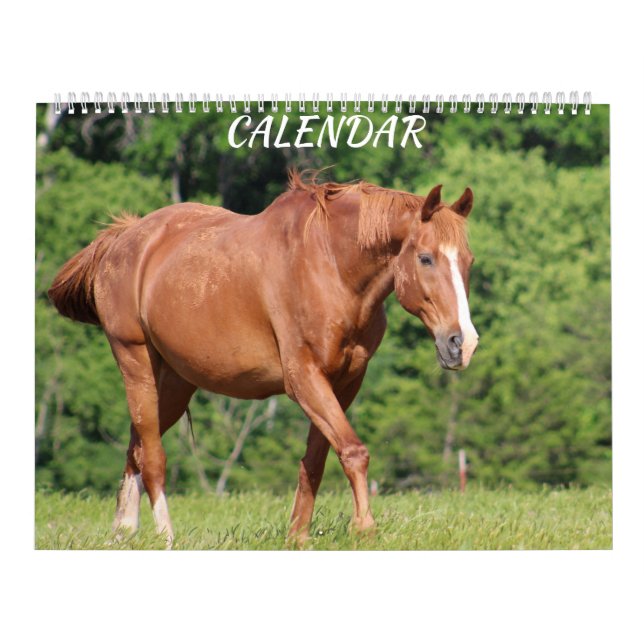 Horse Farm Bright Lively Colourful Calendar (Cover)