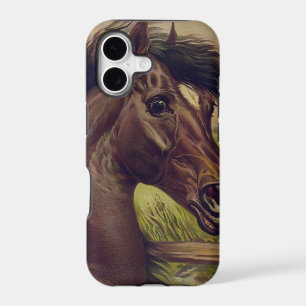 horse farm ranch ride sports western equine pet