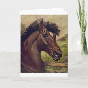 horse farm ranch ride sports western equine pet card