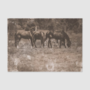 Horse Farm Vintage Country Rustic Sepia Western Tissue Paper