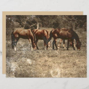 Horse Farm Vintage Country Rustic Western
