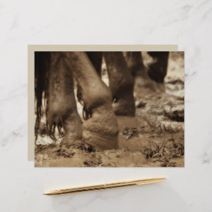 Horse Feet Western Vintage Sepia Brown Rustic