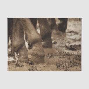 Horse Feet Western Vintage Sepia Brown Rustic Tissue Paper