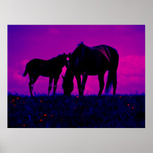 Horse & Filly Art Print