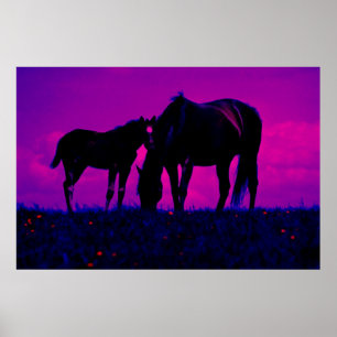Horse & Filly Art Print