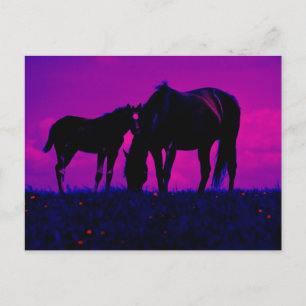 Horse & Filly Postcard