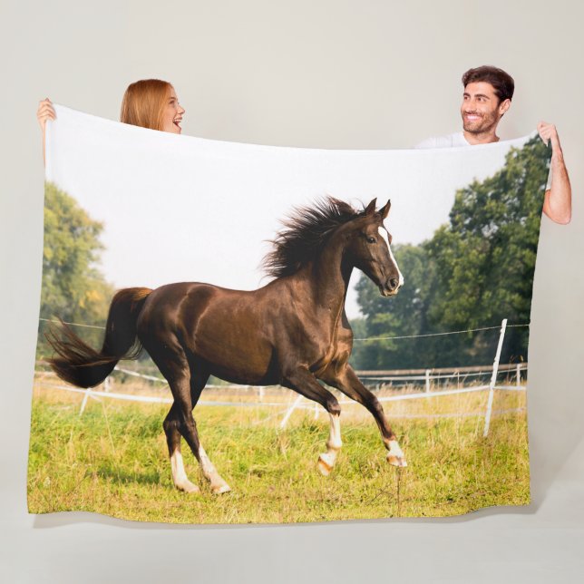 HORSE FLEECE BLANKET (In Situ)