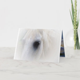 Horse & Floral Card