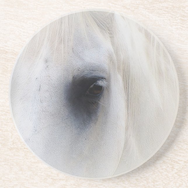 Horse & Floral Coaster (Front)