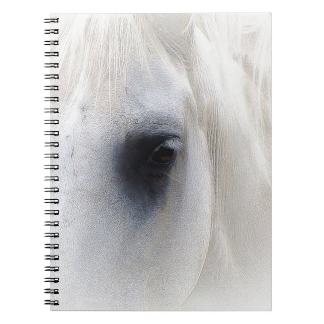 Horse & Floral Spiral Notebook (Front)