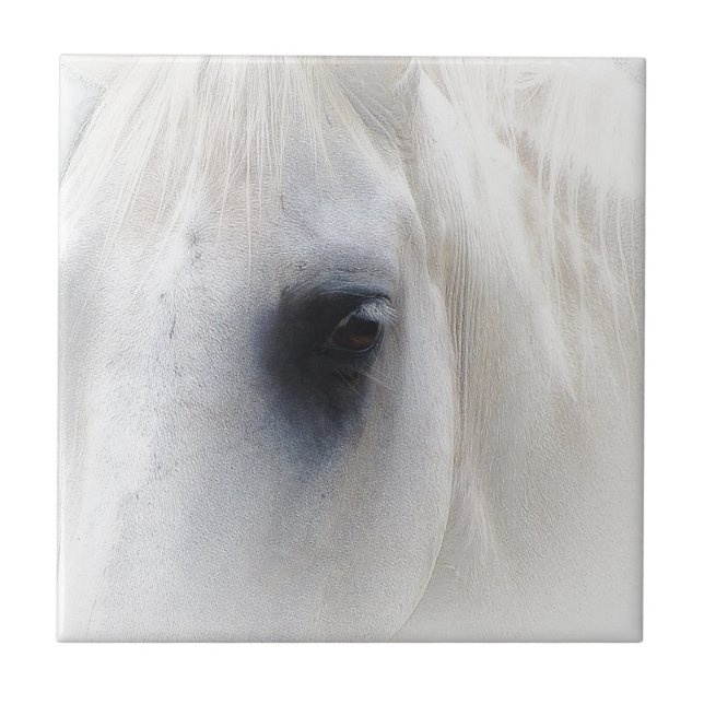 Horse & Floral Tile (Front)