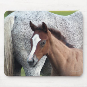 Horse Foal Art Mousepad