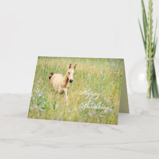 Horse Foal Birthday Card