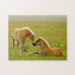 Horse Foals Jigsaw Puzzle