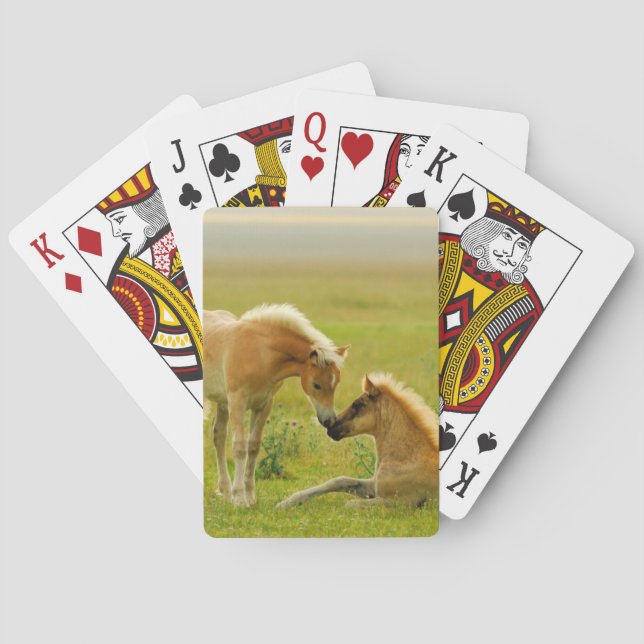 Horse Foals Playing Cards (Back)