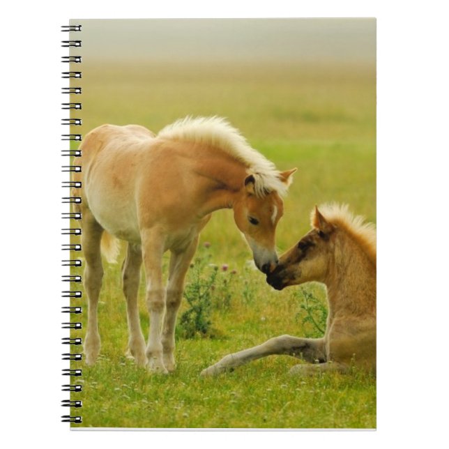 Horse Foals Spiral Notebook (Front)