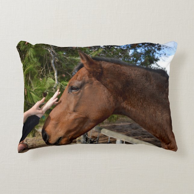 Horse Friend Forever,  Decorative Cushion (Front)