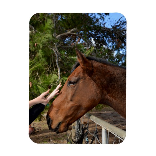 Horse Friends Forever, Flexible Magnet (Vertical)