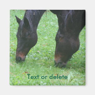 Horse Friends Grazing Animal Personalised Magnet