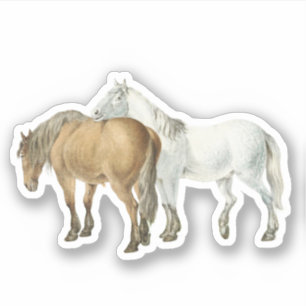 Horse Friendship Got Your Back Vintage Equestrian