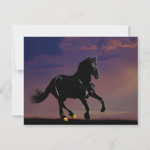 Horse galloping free