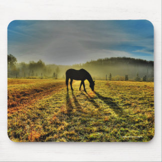 Horse Grazing at Sunrise in Misty Field Photo Mouse Pad