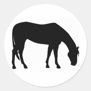 Horse Grazing Classic Round Sticker