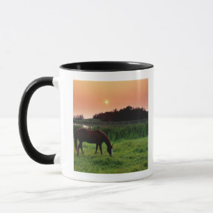 Horse Grazing in Field at Sunset Near Edmonton, Mug