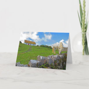 Horse Grazing in Ireland Card
