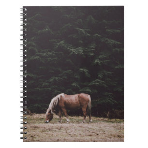 HORSE GRAZING IN THE SHADE OF CONIFERS NOTEBOOK