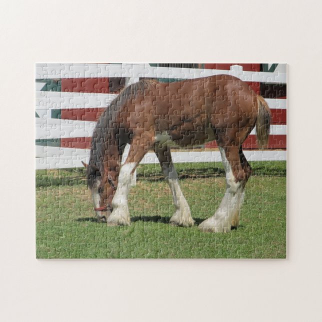 Horse Grazing Jigsaw Puzzle (Horizontal)