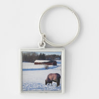 Horse grazing on a snow-covered field on Ekero 2