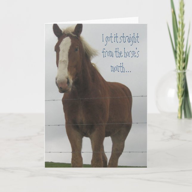 Horse Greeting Card (Front)