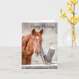 Horse Greeting Card