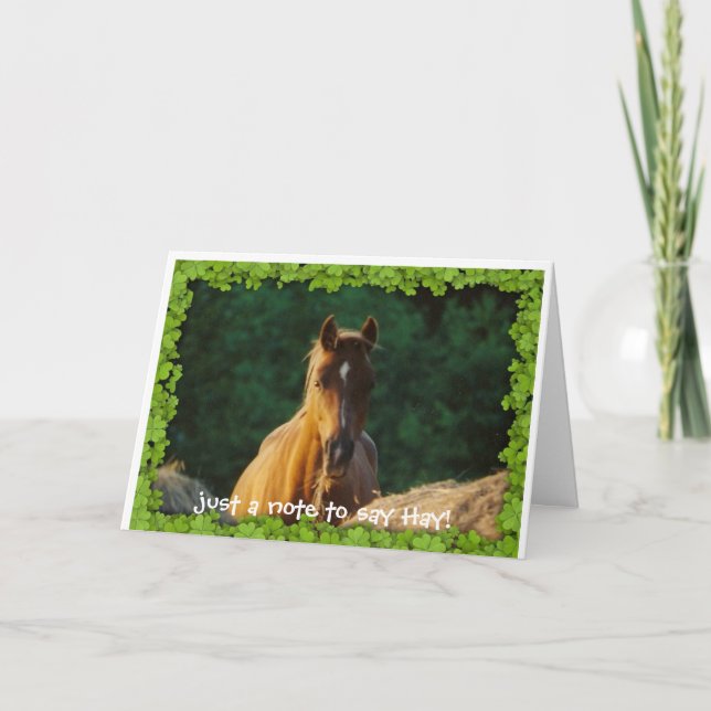 Horse greeting card (Front)