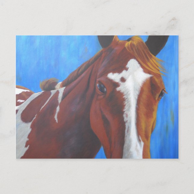 Horse greeting card (Front)