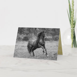 Horse Greeting Card - Fairy Tale Stallion Leaps