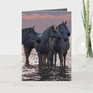 Horse Greeting Card - Four Horses at Sunset