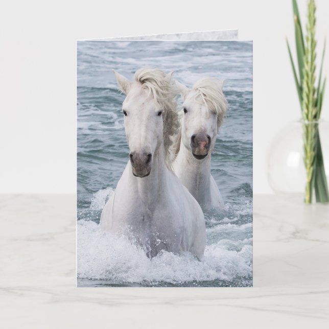 Horse Greeting Card - Sea Horse Twins (Front)