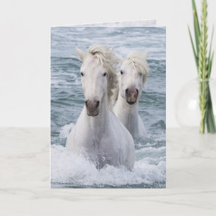 Horse Greeting Card - Sea Horse Twins