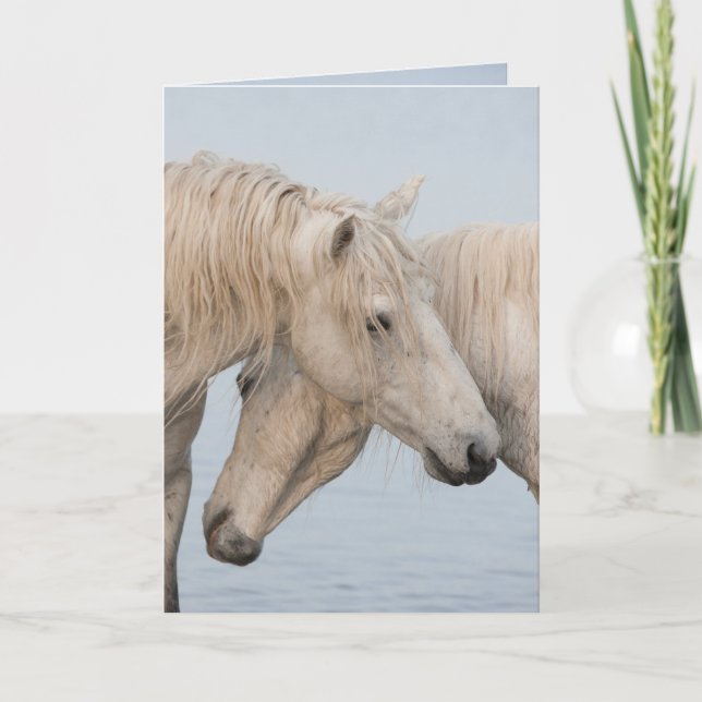 Horse Greeting Card - The Power of Two (Front)