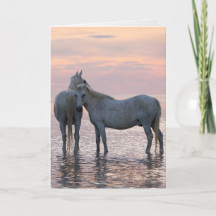 Horse Greeting Card - Two White Horses Friends