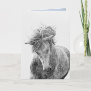 Horse Greeting Card - Young Camargue Stallion Runs