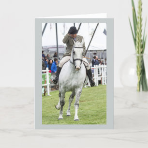 Horse Greetings Card