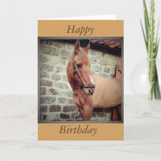 Horse Greetings Card