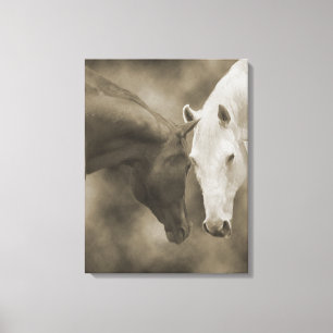 Horse Greetings Wrap Canvas Print